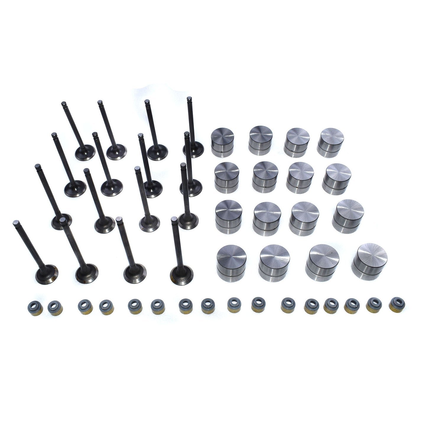 for Hyundai for Kia Intake and Exhaust Valve and Stem Seals and Hydraulic Lifter Kit