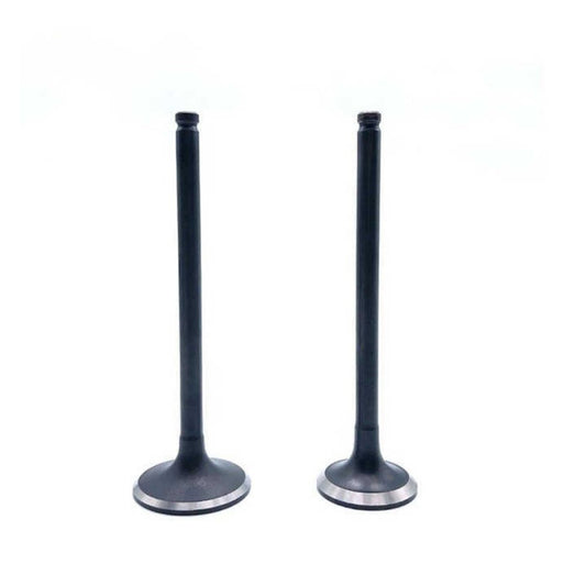 Intake Valve for Dodge for Ram 03-07