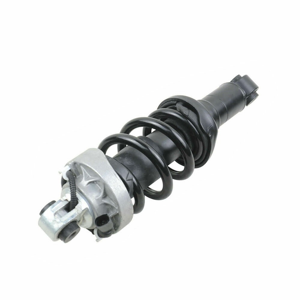 Fit for Audi R8 V8 5.2 FSI 2007-2015 420412019Q 2-piece front shock absorber struts