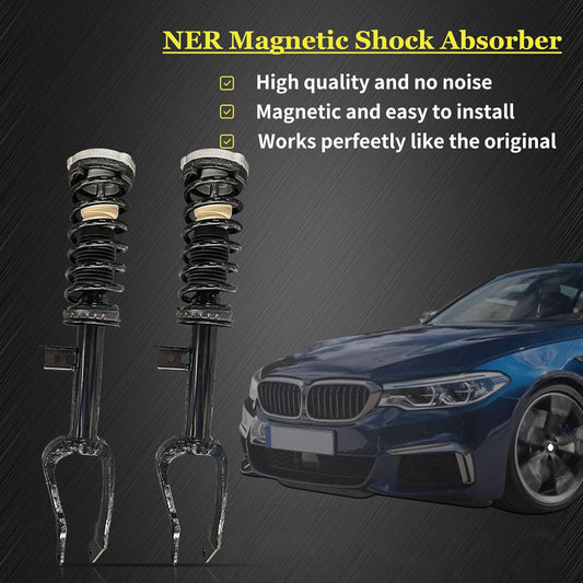 2-Piece Front Shock Strut Assembly with EDC for BMW E66, E65, 745Li, 750i, 760i, 760Li - Base