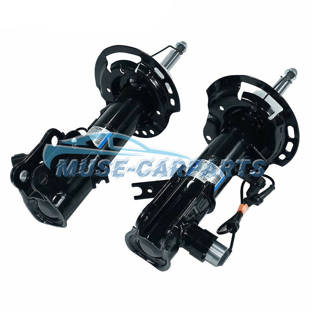 2x Rear L&R Shock Absorber Struts for Hyundai Senta Fe 06-10 for Kia Sorento 11-13