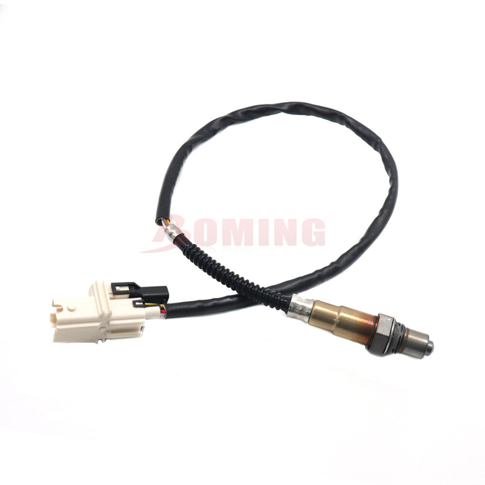 161-1703 Oil pressure sensor switch suitable for Caterpillar C7 C9 C15 C18 350550