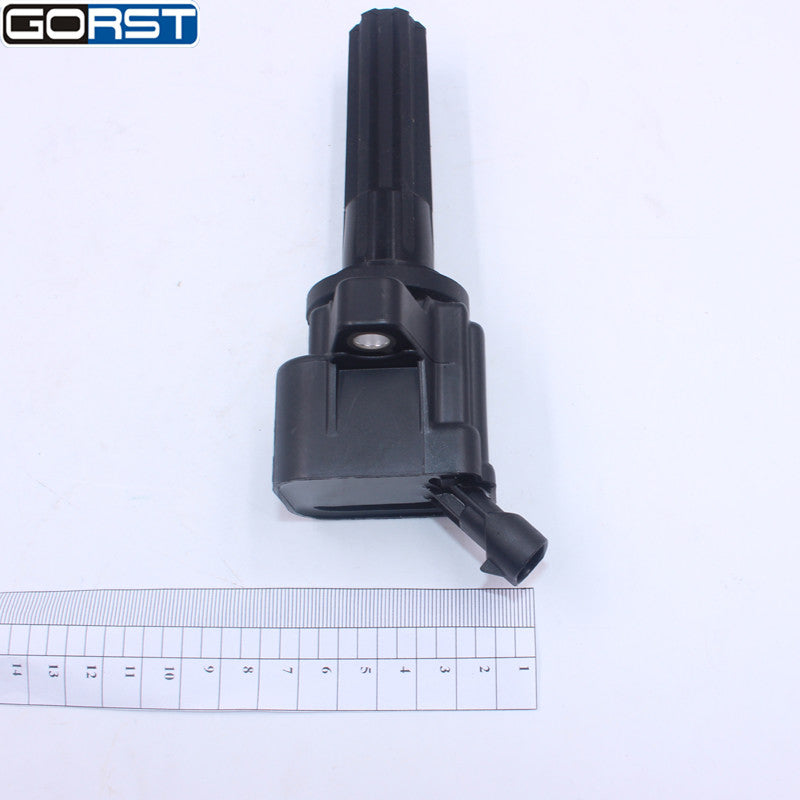 Ignition coils for Buick , for Chevrolet , for GMC , for Hummer , for Isuzu , Ascender, and for Saab (model number 06-12, 12596547)