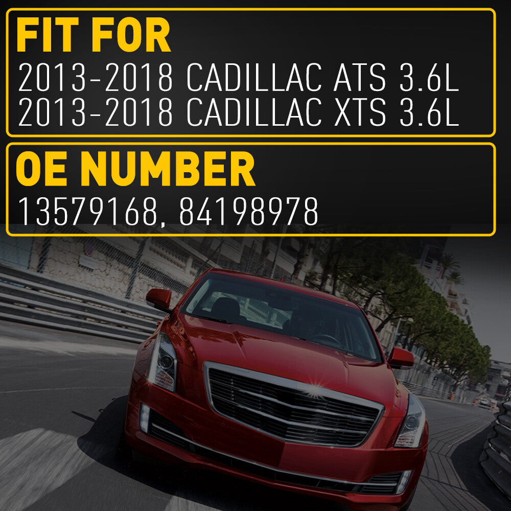XTS ATS 2013 - 2018 Sea Cucumber