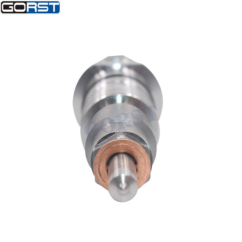 Common rail fuel injector 0445120120 for VW , Volksbus, for Ford , 0986435543