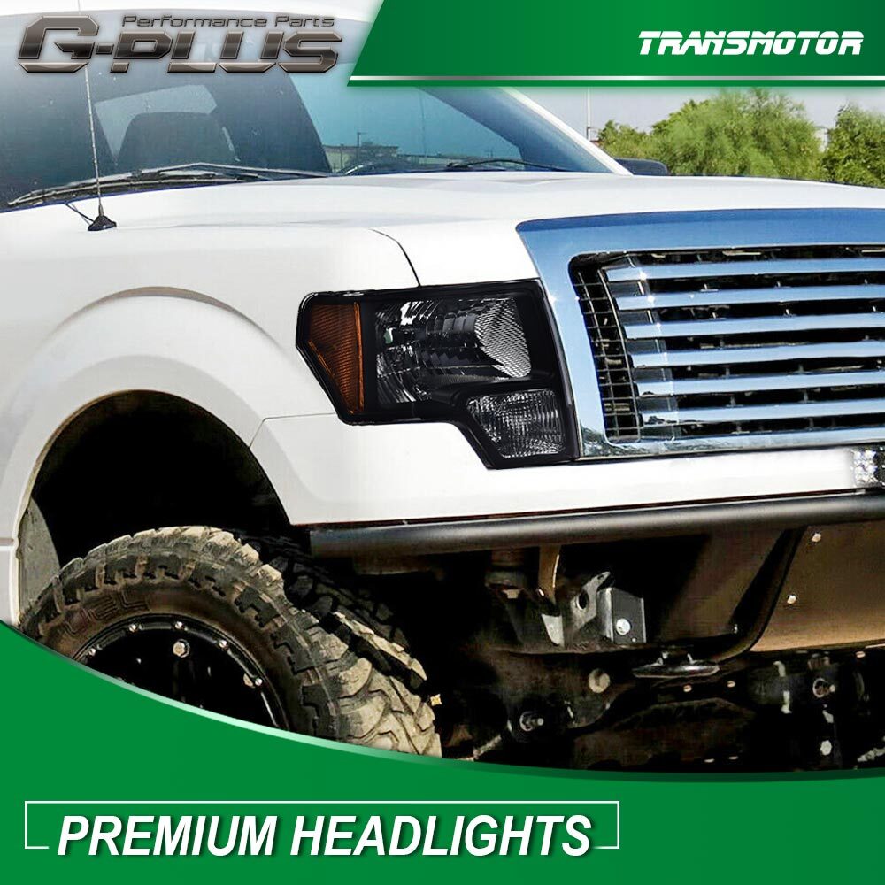 2009-2014 Shuifu Edition F150 Original Dragon Water Year + LED Dragon Series 1