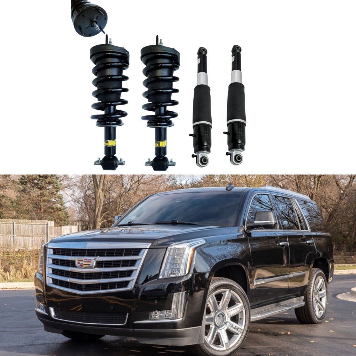 Assys front shock absorbers with PASM (Parallel Air Shield) for Porsche for Panamera 970 (2010-2016)