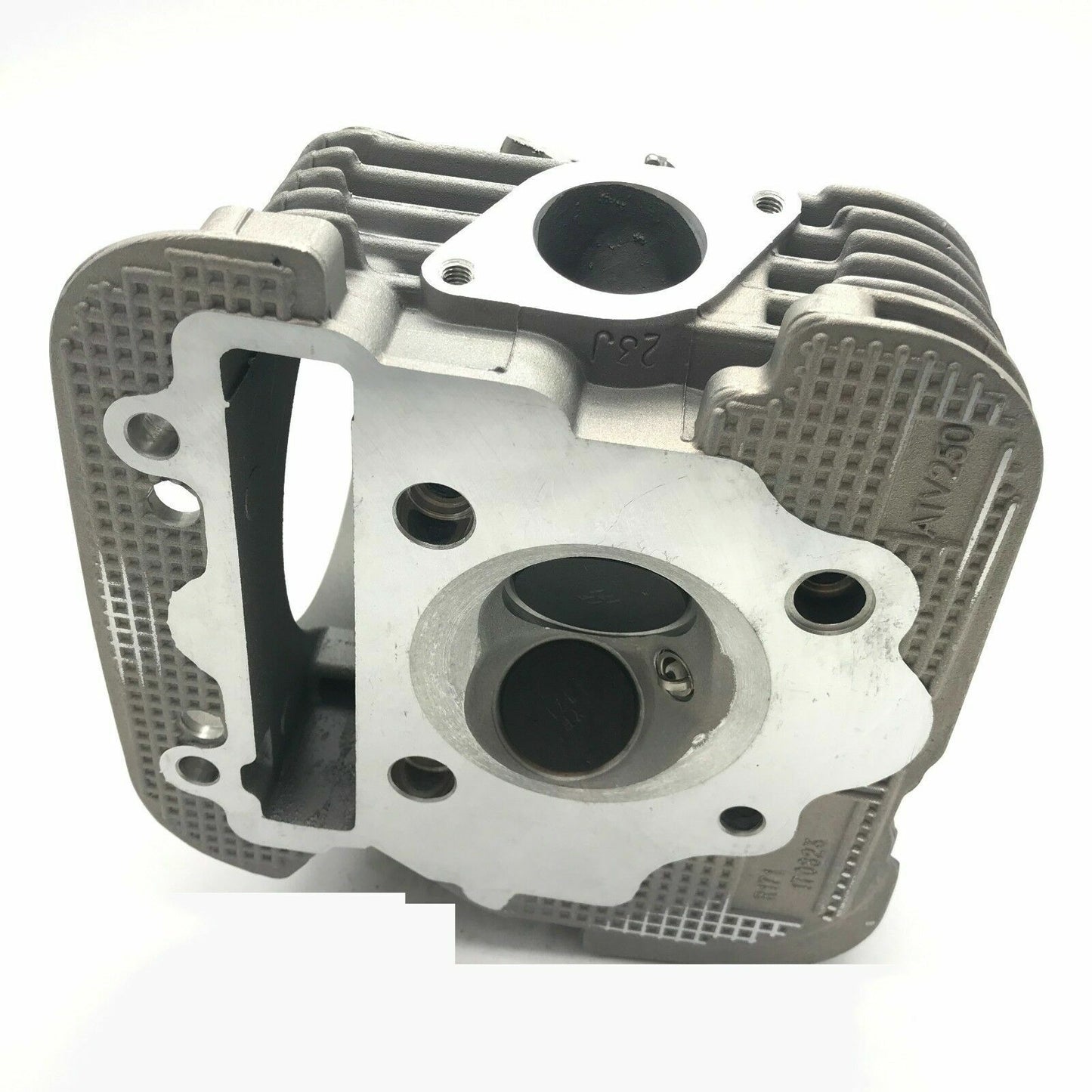 Cylinder Head Assy W/ Gasket for Yamaha Timberwolf 250 JS250 4BD-11101-03